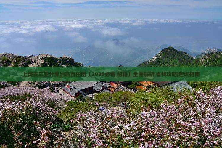 上饶去三亚分界洲岛自由团