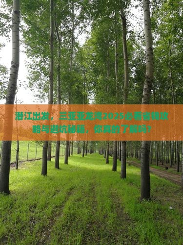 潜江前往三亚亚龙湾旅游