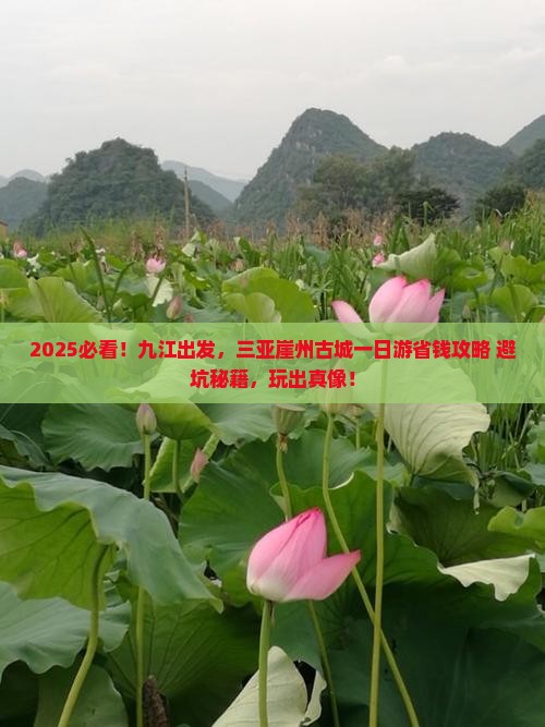 九江去三亚崖洲古城一日游