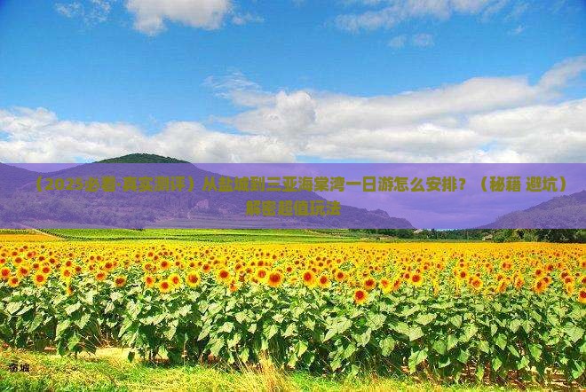 盐城去三亚海棠湾一日游