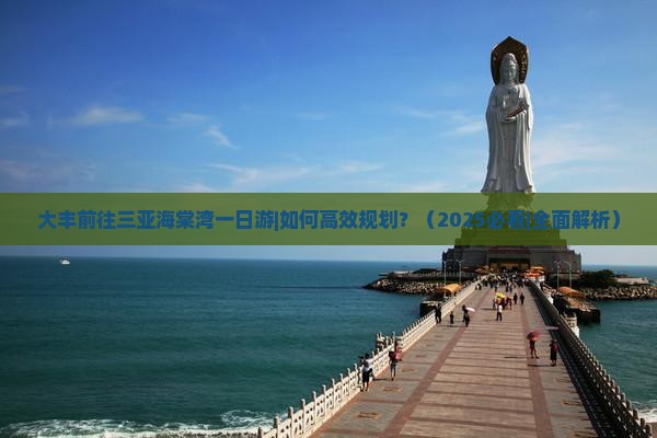 大丰前往三亚海棠湾一日游