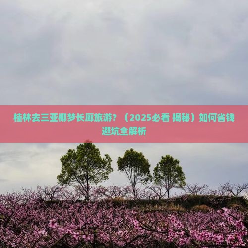 桂林前往三亚椰梦长廊旅游
