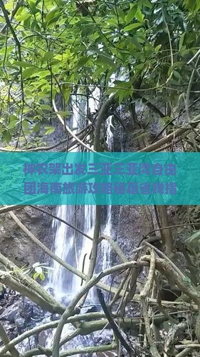 神农架出发三亚三亚湾自由团