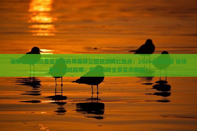 张家口出发三亚亚龙湾热带森林公园旅游网红地点