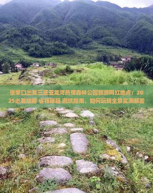 张家口出发三亚亚龙湾热带森林公园旅游网红地点