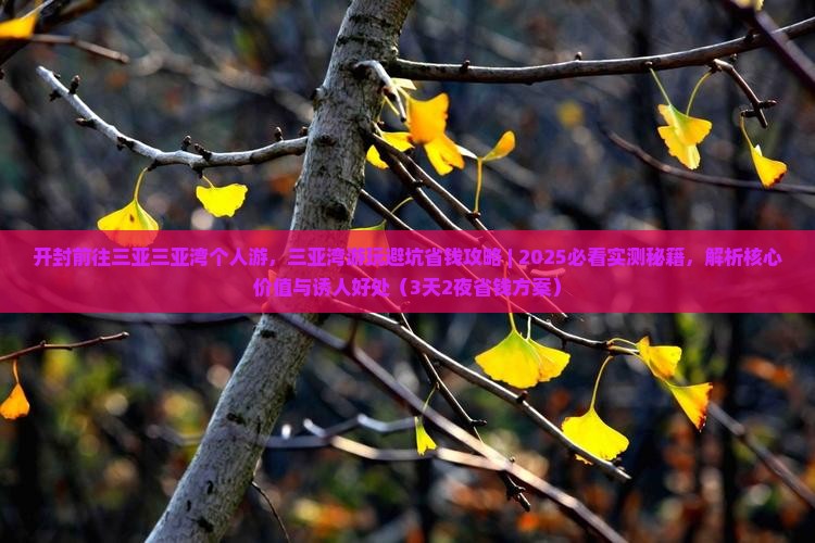 开封前往三亚三亚湾个人游