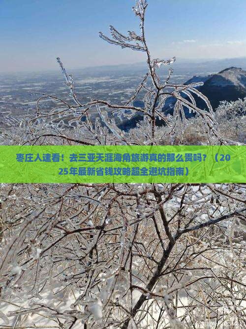 枣庄前往三亚天涯海角二日游