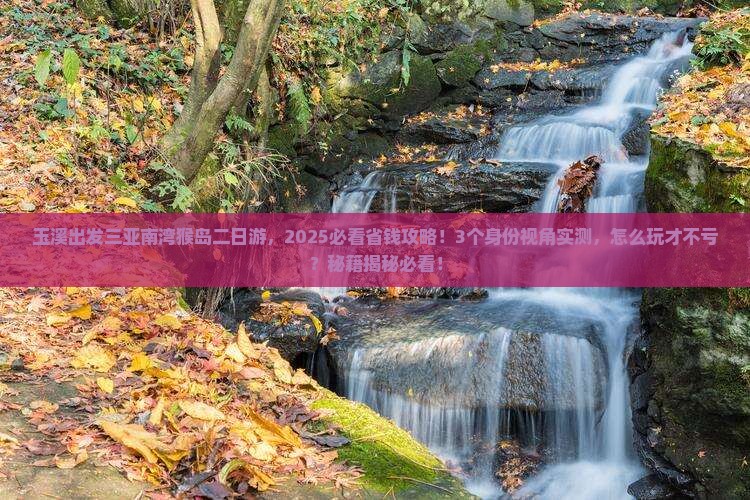 玉溪前往三亚南湾猴岛二日游