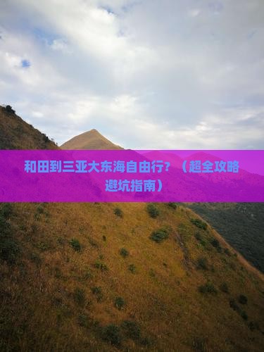和田去三亚大东海自由团