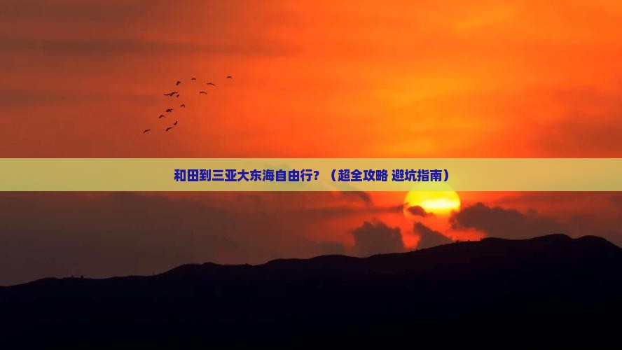 和田去三亚大东海自由团