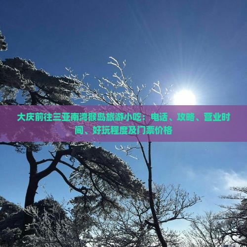 大庆前往三亚南湾猴岛旅游小吃