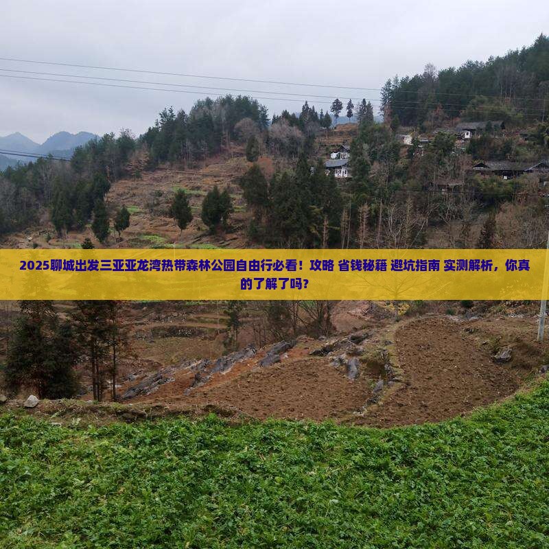 聊城出发三亚亚龙湾热带森林公园自由行 聊城出发三亚亚龙湾热带森林公园自由行
