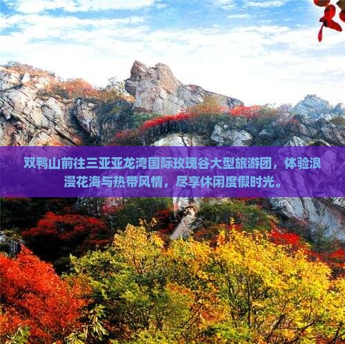 双鸭山前往三亚亚龙湾国际玫瑰谷大型旅游团