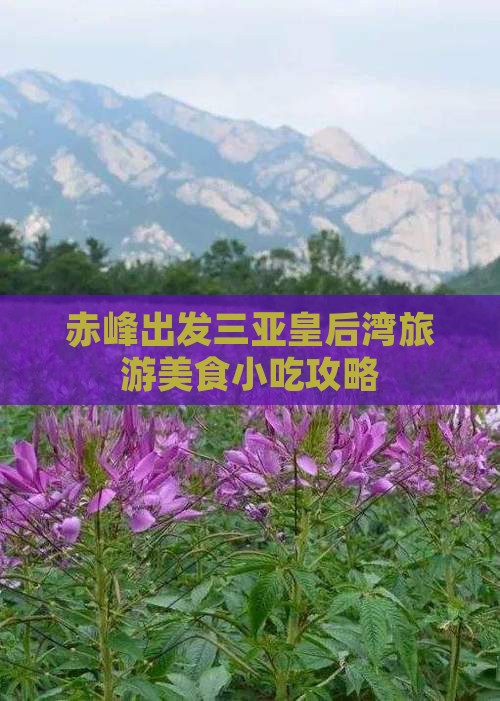 赤峰出发三亚皇后湾旅游小吃