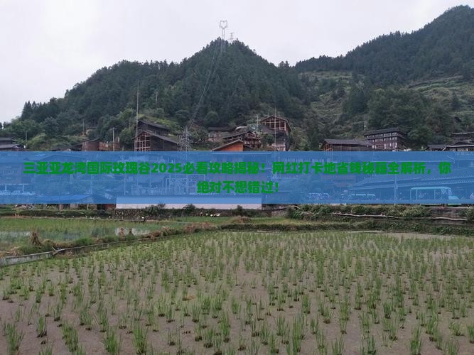安阳去三亚亚龙湾国际玫瑰谷旅游网红地点