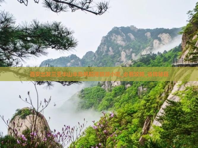 西安出发三亚半山半岛帆船港旅游小吃