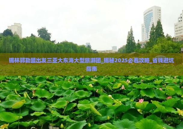 锡林郭勒盟出发三亚大东海大型旅游团
