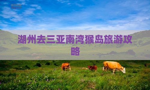 湖州去三亚南湾猴岛攻略