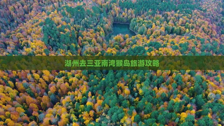 湖州去三亚南湾猴岛攻略