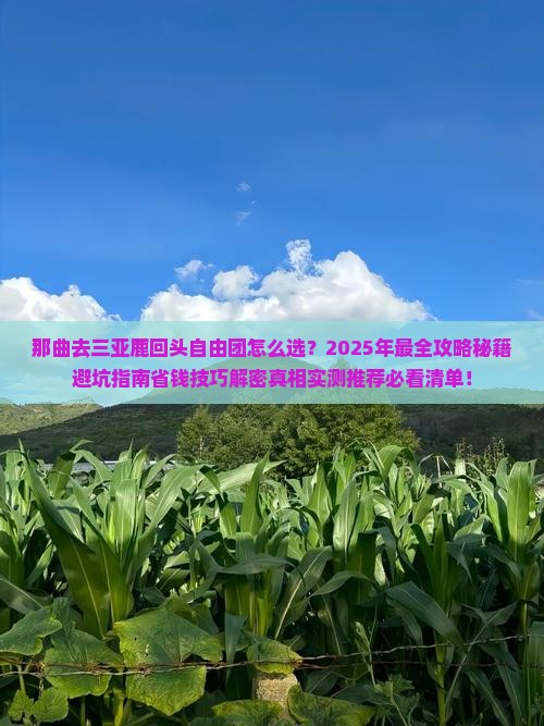 那曲去三亚鹿回头自由团
