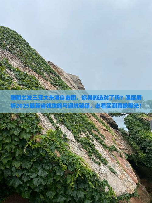 醴陵出发三亚大东海自由团