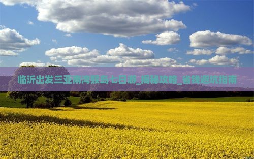 临沂出发三亚南湾猴岛七日游