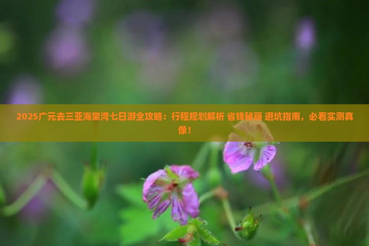 广元去三亚海棠湾七日游