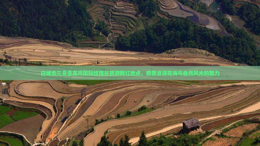 白城去三亚亚龙湾国际玫瑰谷旅游网红地点