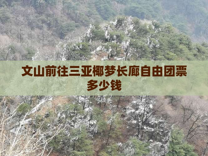 文山前往三亚椰梦长廊自由团