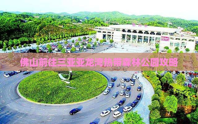 佛山前往三亚亚龙湾热带森林公园攻略