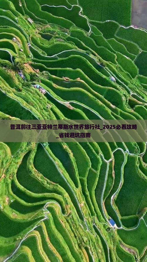 普洱前往三亚亚特兰蒂斯水世界旅行社