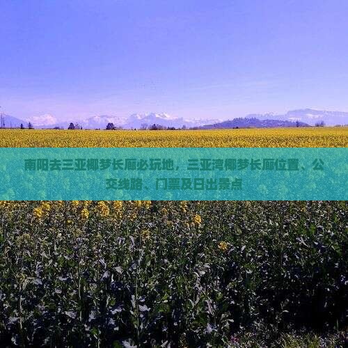 南阳去三亚椰梦长廊必玩地