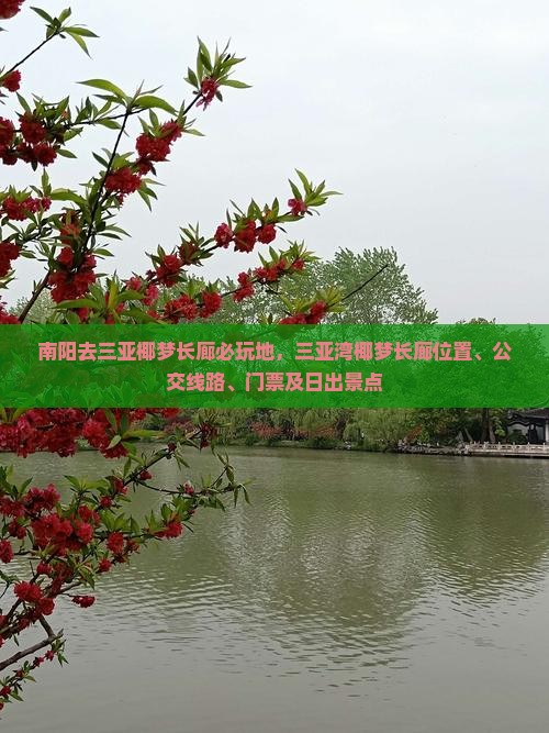 南阳去三亚椰梦长廊必玩地