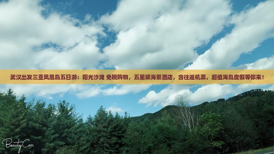 武汉出发三亚凤凰岛五日游