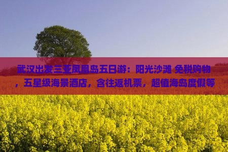 武汉出发三亚凤凰岛五日游