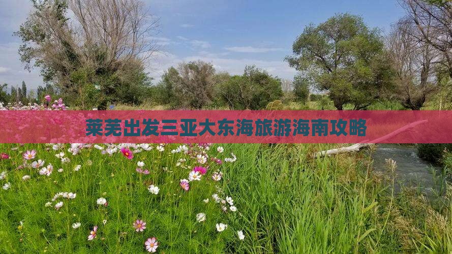 莱芜出发三亚大东海大型旅游团