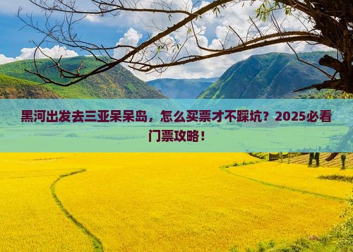 黑河出发三亚呆呆岛门票
