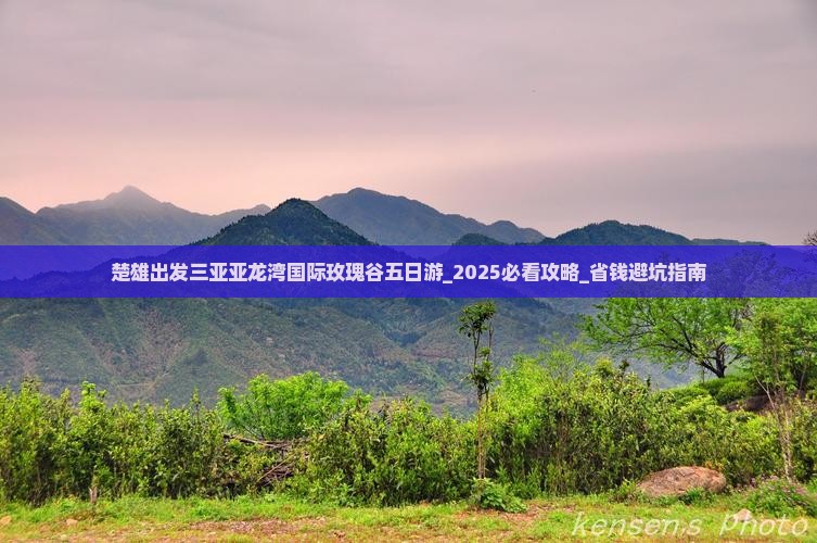 楚雄出发三亚亚龙湾国际玫瑰谷五日游