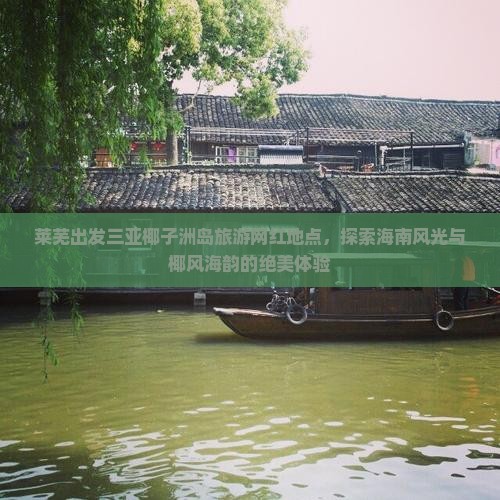 莱芜出发三亚椰子洲岛旅游网红地点
