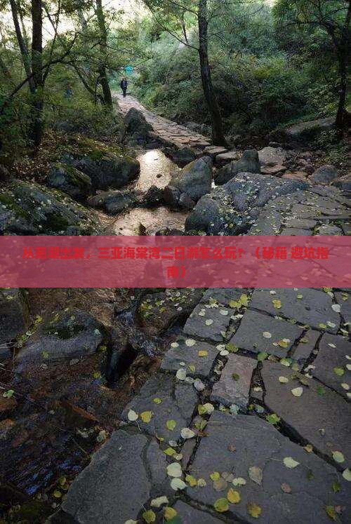 芜湖出发三亚海棠湾二日游