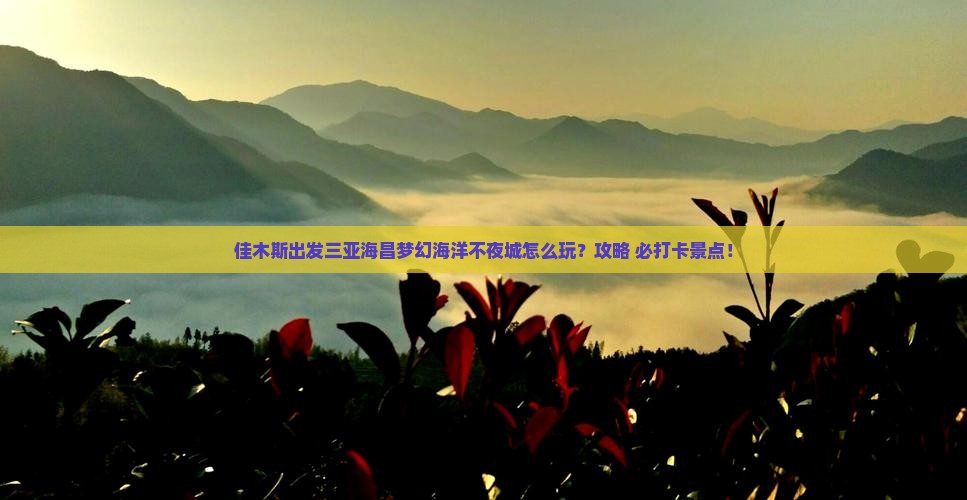 佳木斯出发三亚海昌梦幻海洋不夜城哪里玩