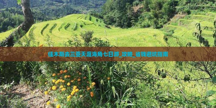 佳木斯去三亚天涯海角七日游