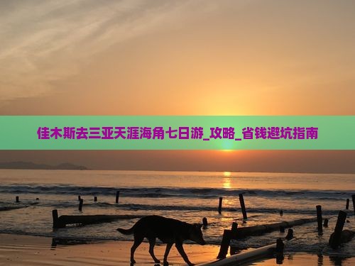 佳木斯去三亚天涯海角七日游