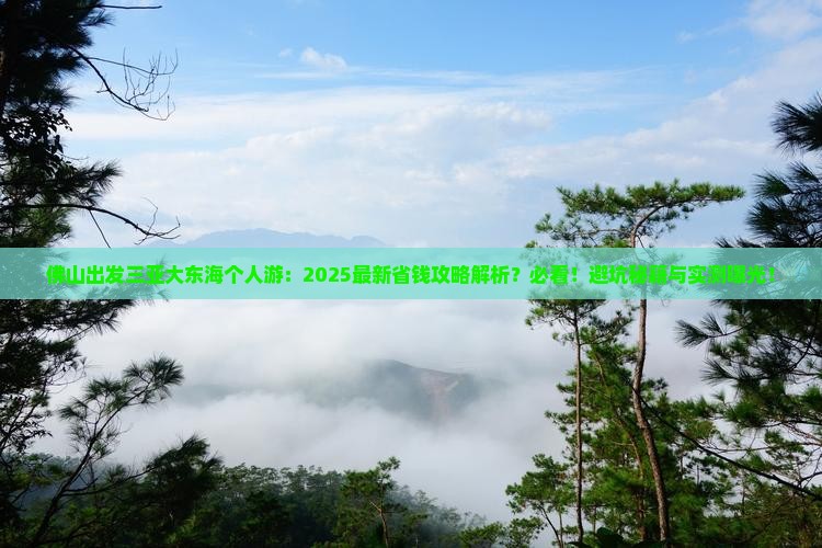 佛山出发三亚大东海个人游