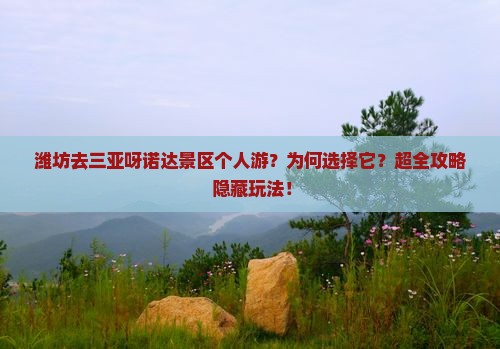 潍坊去三亚呀诺达景区个人游 潍坊去三亚呀诺达景区个人游