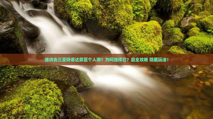 潍坊去三亚呀诺达景区个人游 潍坊去三亚呀诺达景区个人游