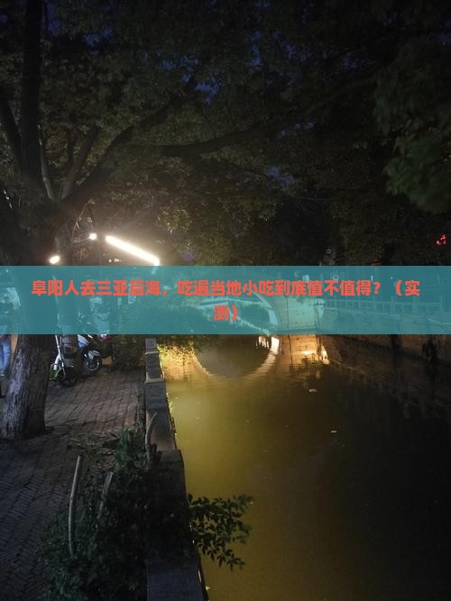 阜阳前往三亚后海旅游小吃