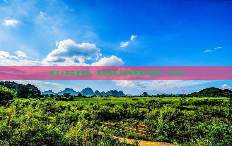 阜阳前往三亚后海旅游小吃