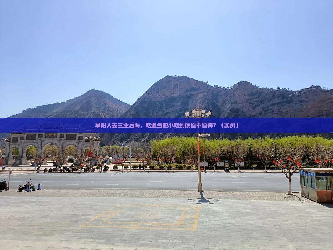 阜阳前往三亚后海旅游小吃