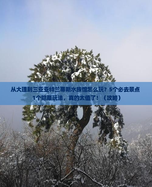 大理出发三亚亚特兰蒂斯水族馆哪里玩